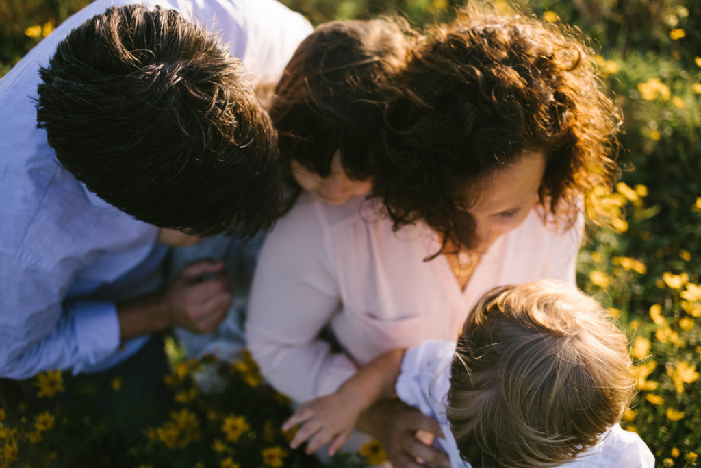 Frankfort Family Photographer family of four at sunset session 