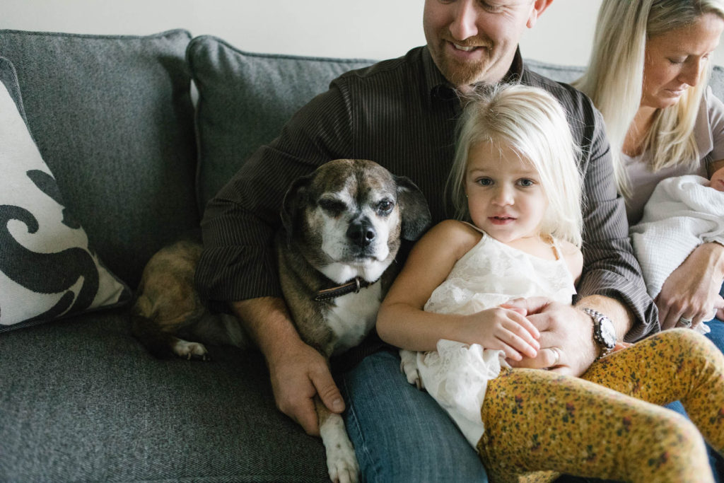 Chicago newborn and family lifestyle photographer, Elle Baker Photography, dog in family photo