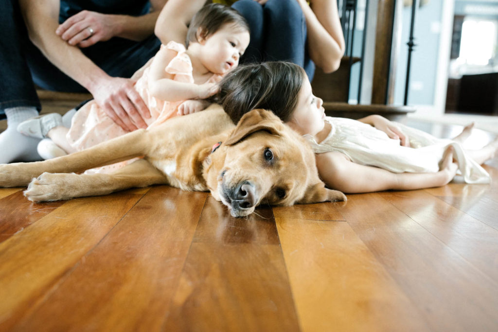 Naperville, Illinois family lifestyle photographer captures kids laying and cuddling with their puppy dog.