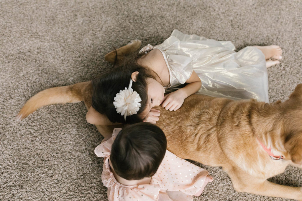 little girls play and lay on their Labrador dog 