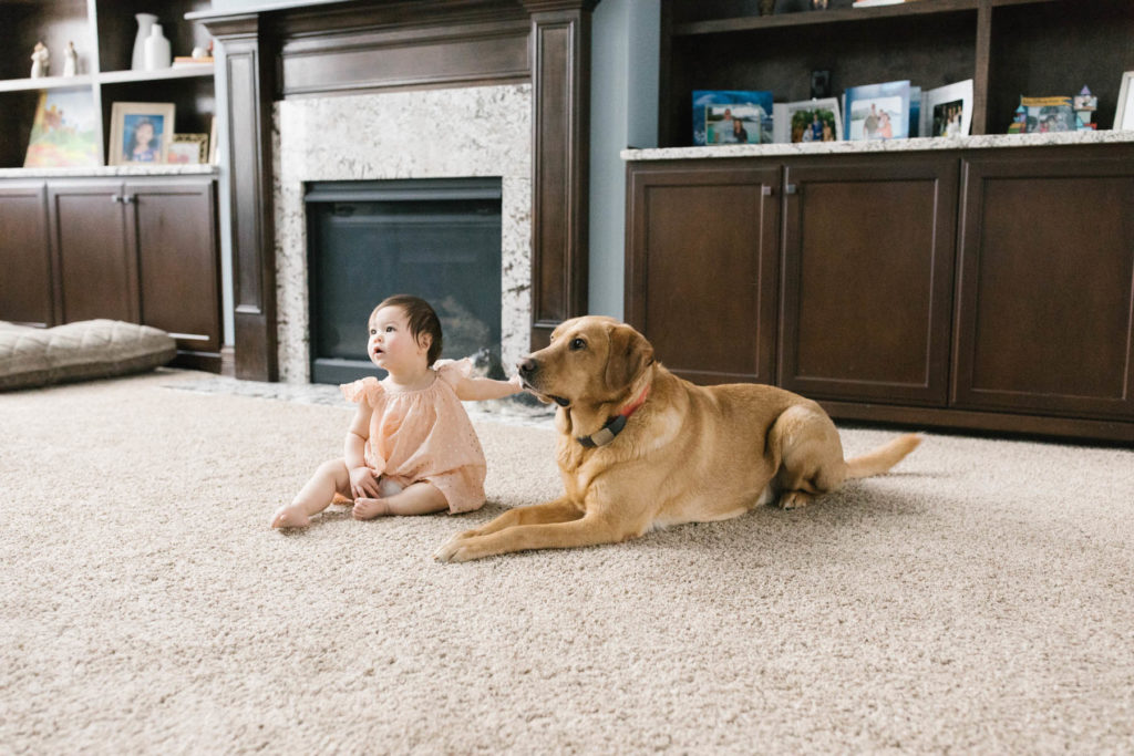 baby girl petting her family dog during Chicago family session 