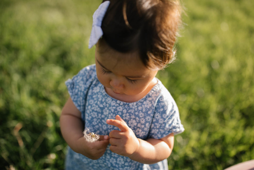baby girl touching dandelion flower with Elle Baker Photography 