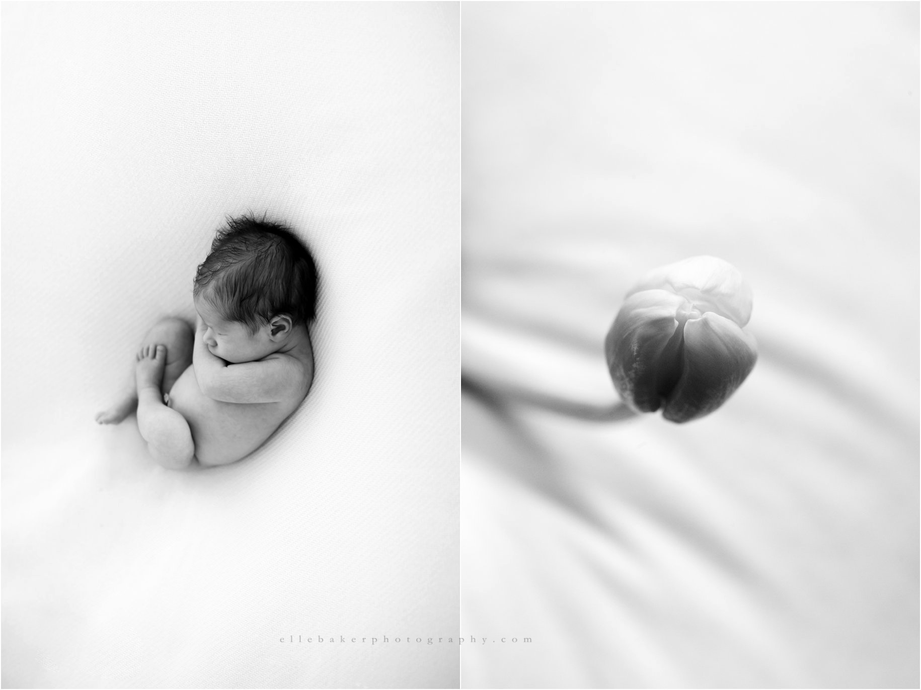 Chicago baby family photographer chicago newborn photographer