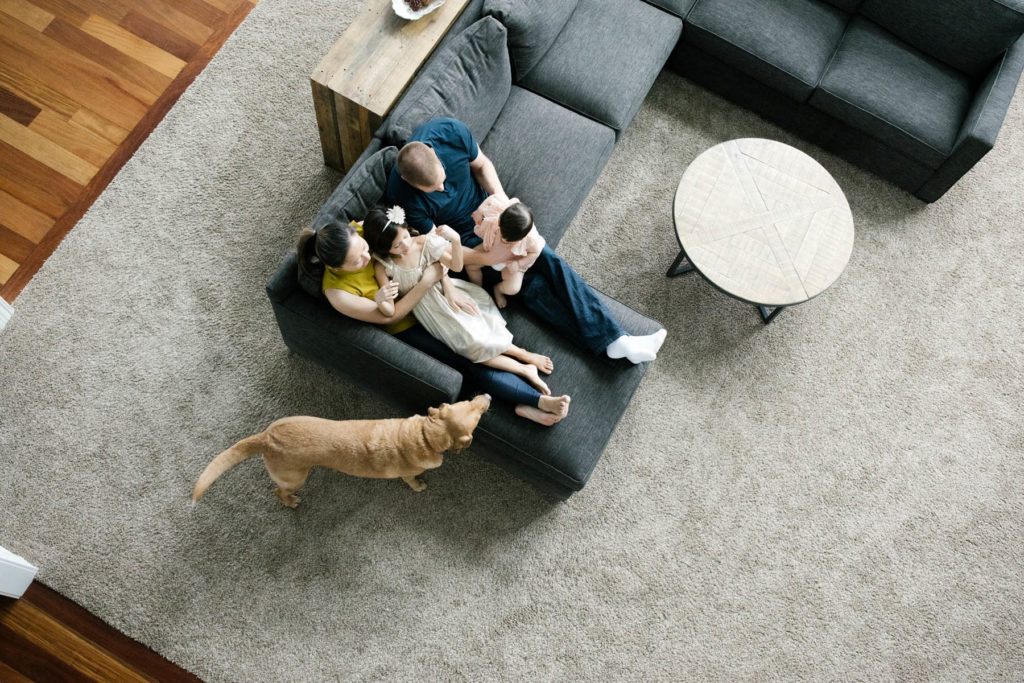 Chicago lifestyle family photographer Laurie Baker captures a family photo in their home on a gray couch