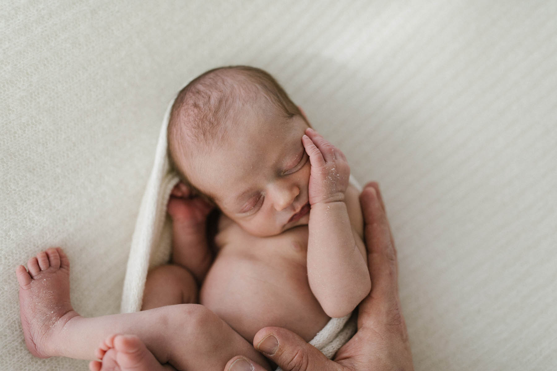Newborn baby boy with his father's hands wrapped around him at Chicago newborn photography studio, Photo by Elle Baker Photography