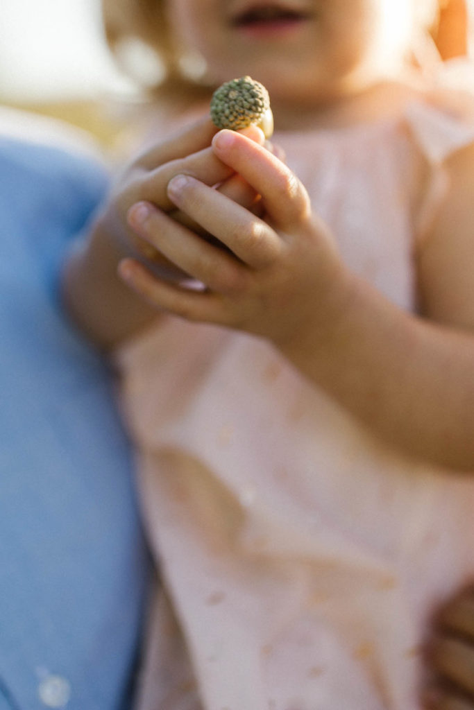detail photo of little girl holding an acorn 