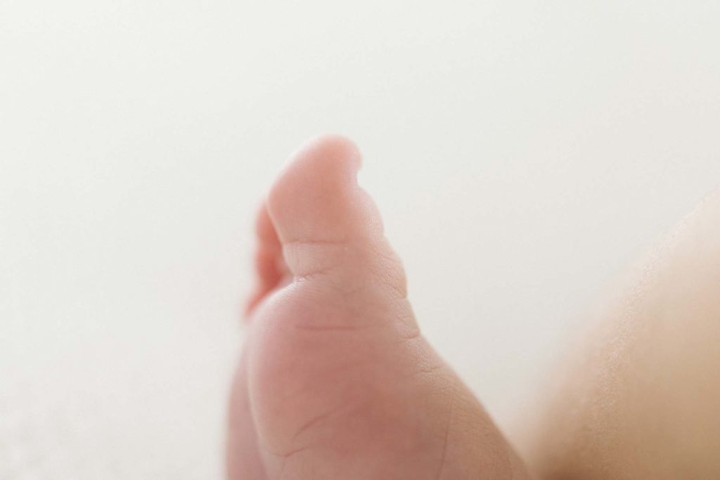 macro image of a newborn baby's foot 