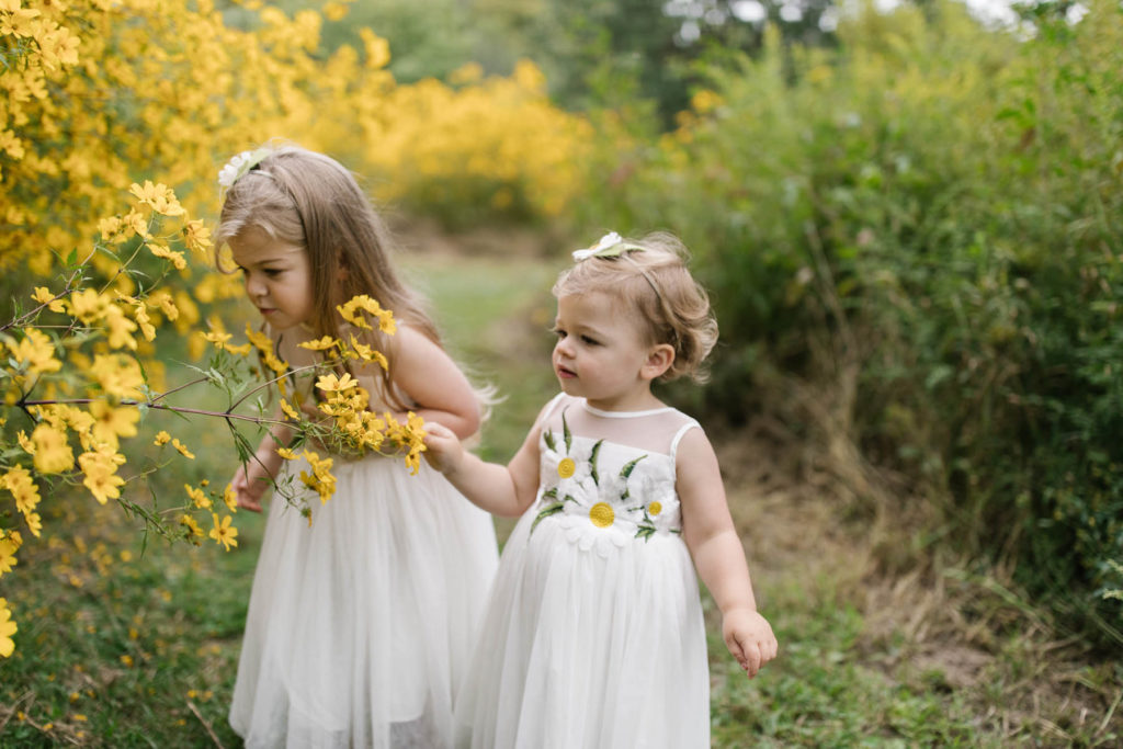 little girls smelling yellow flowers during a story like photo session 
