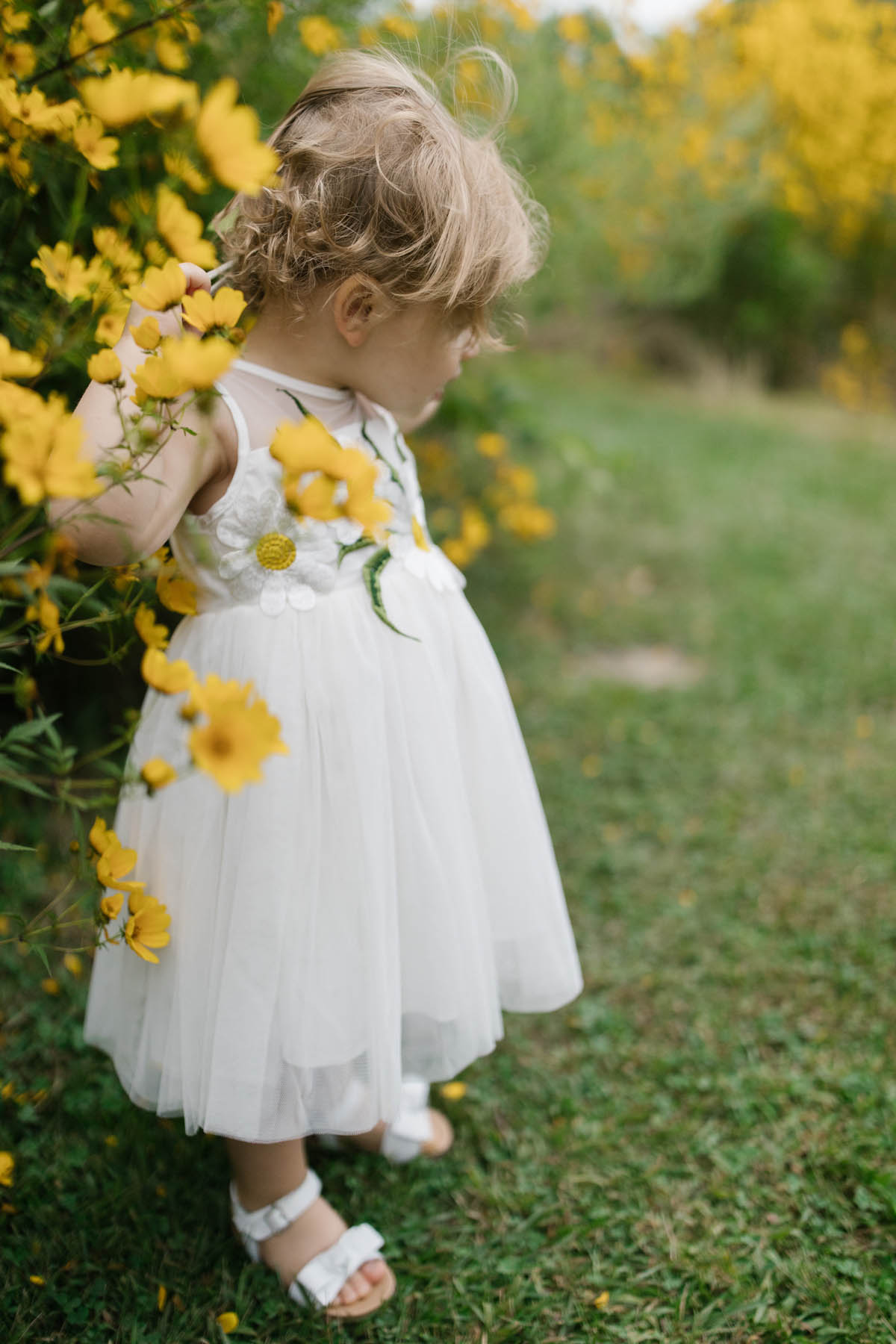 toddler girl playing in yellow flowers 
