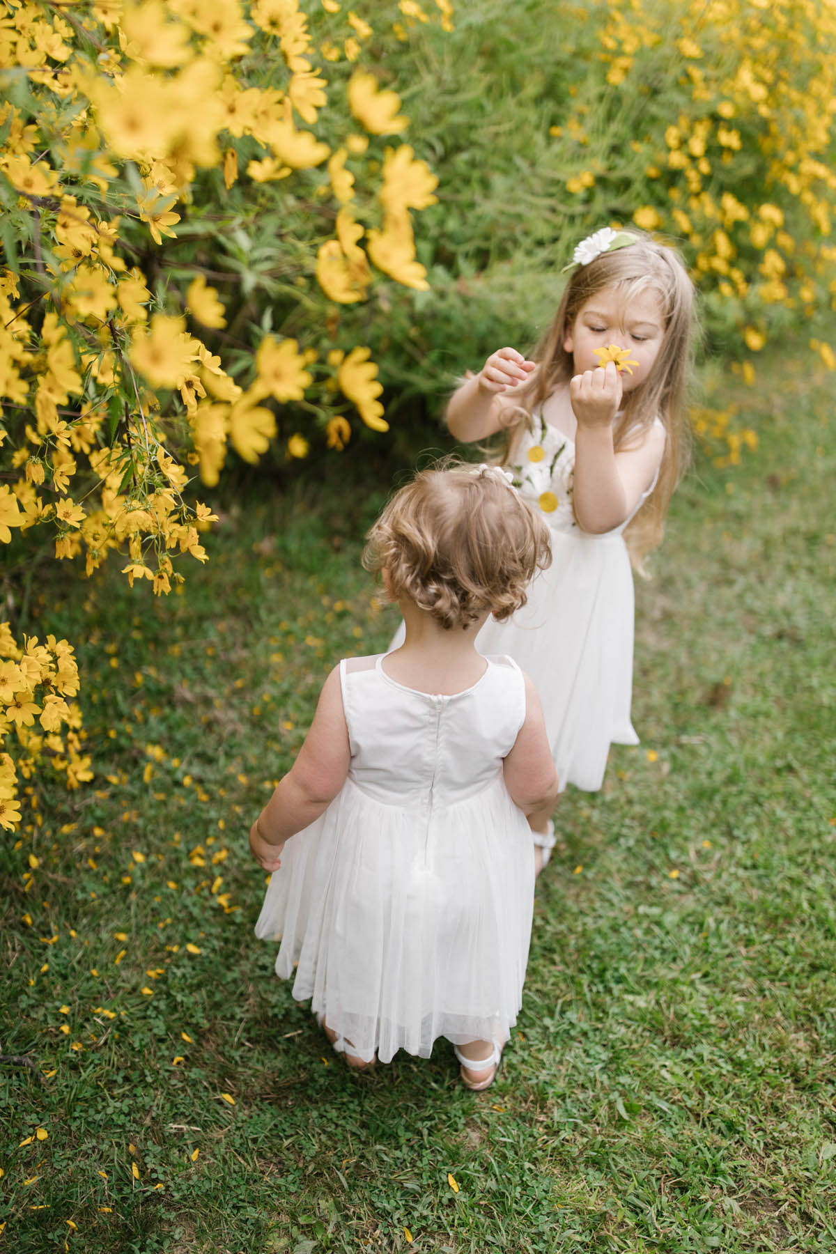yellow flowers frame this image of little girls 