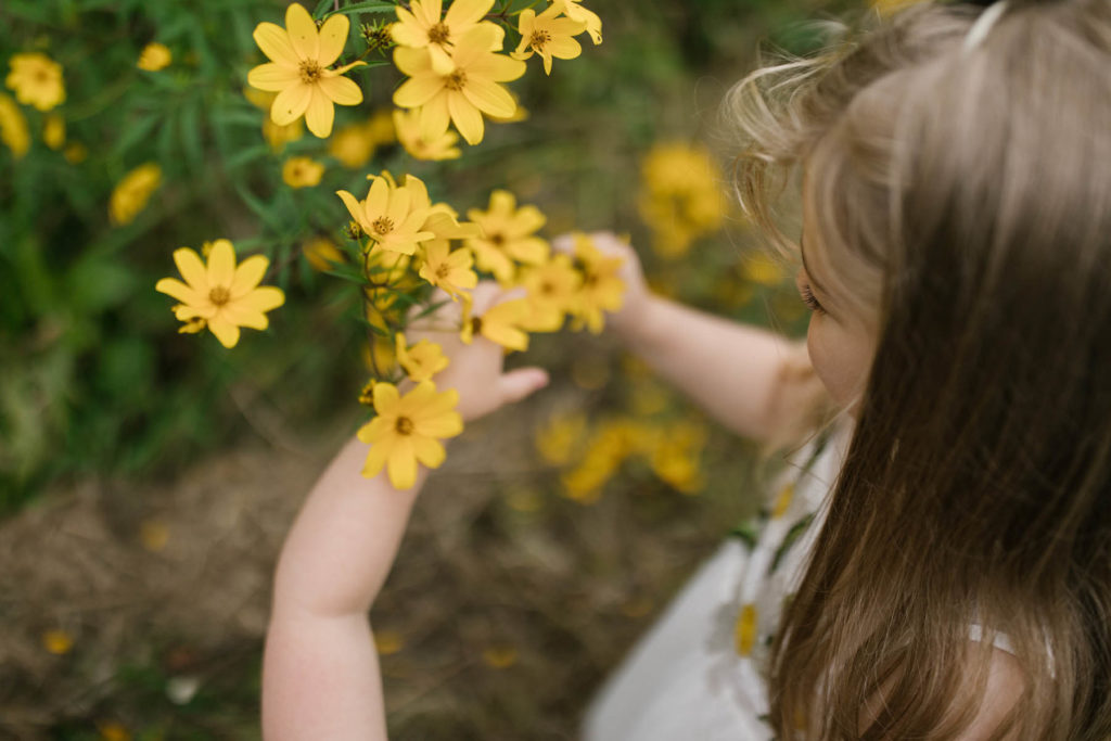 little girls picking yellow wildflowers 